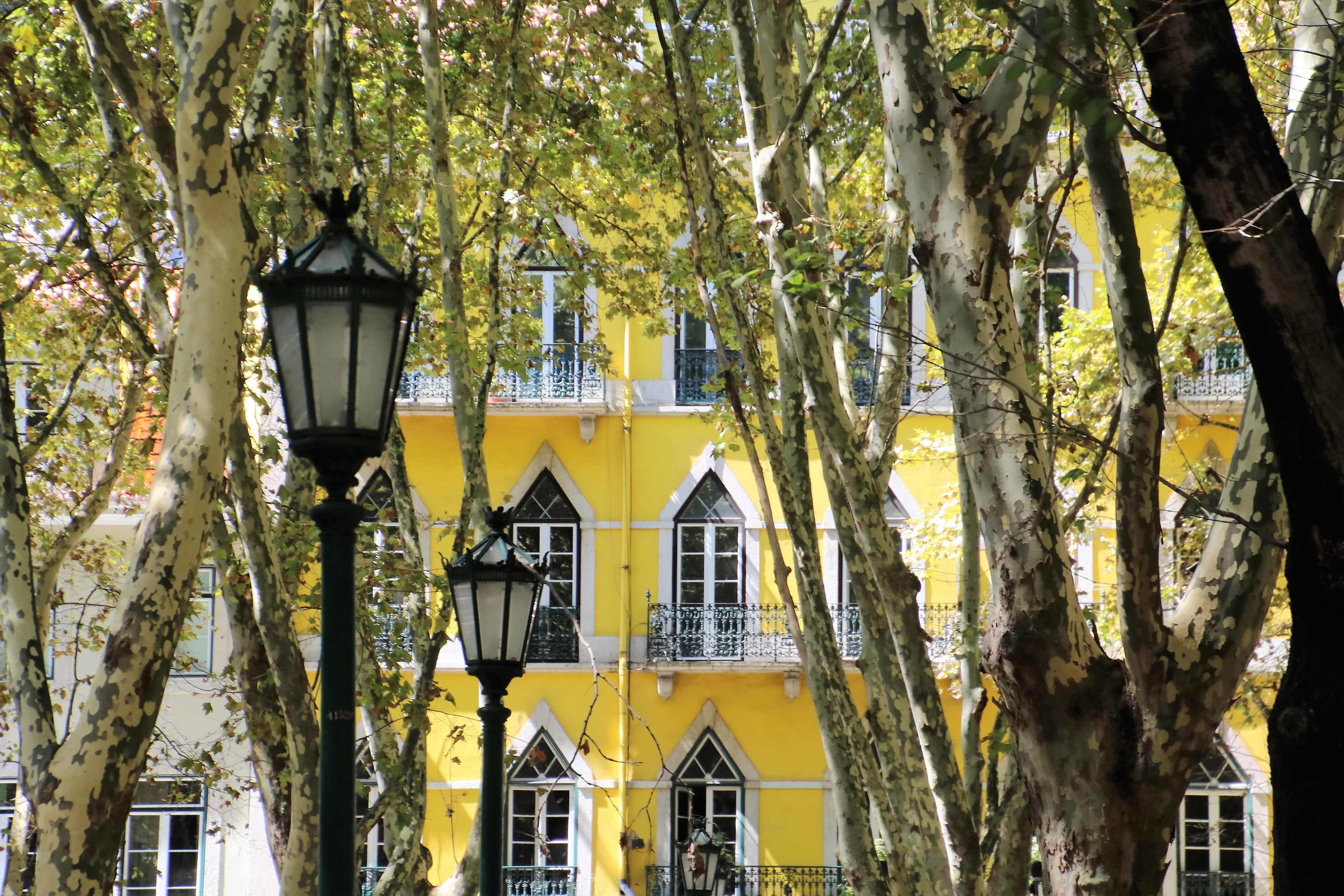 Lisbon City Guide — Neighbourhoods, Food and Getting Around